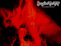 Forgive-Me-Not Обои для рабочего стола