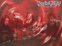 Forgive-Me-Not Обои для рабочего стола