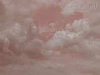 Forgive-Me-Not Обои для рабочего стола